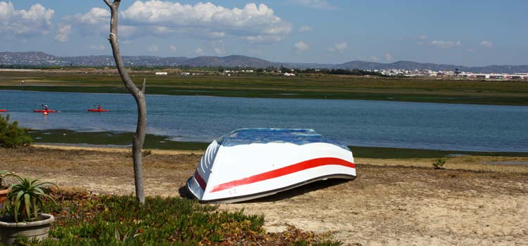 The Ria Formosa national park