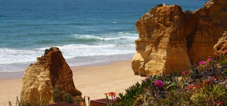 Image result for Praia da Rocha