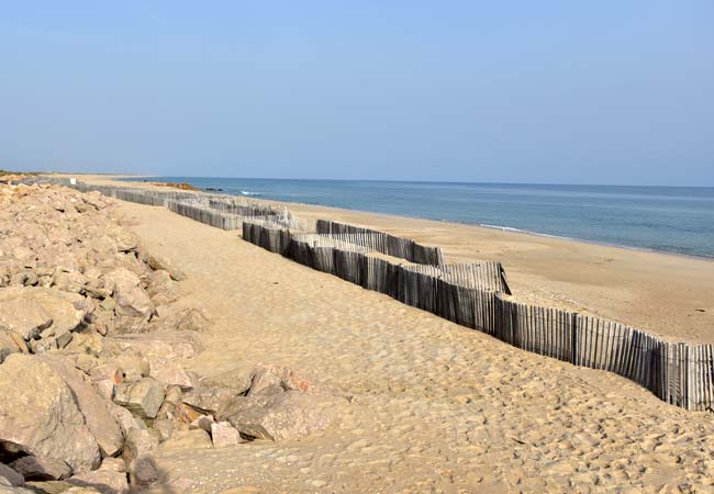 Praia da Culatra