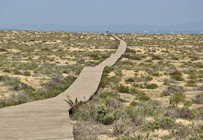 Der Weg Cabo de Santa Maria