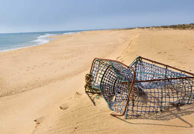 Strand der einsamen Insel Faro