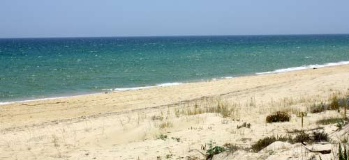 Ilha Da Barreta Deserta Island Faro Algarve Portugal