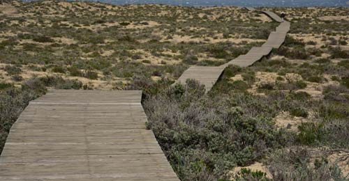 Ilha Deserta Island  footpath