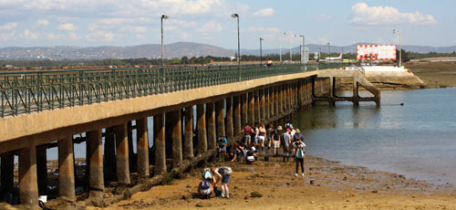 Praia de Faro bridge
