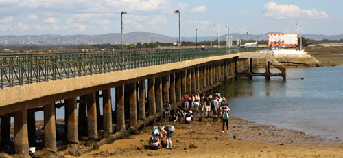 Praia de Faro basse à coté du ponton