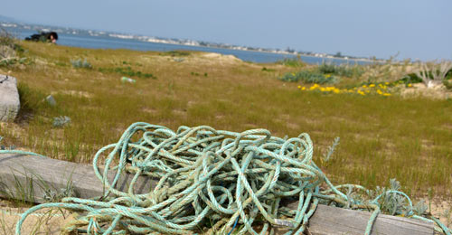 Ria Formosa tour boat