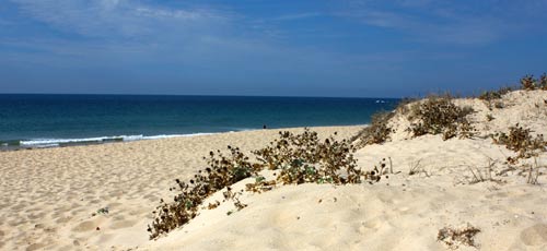 Ein anderer Abschnitt der beeindruckenden Küste am Praia de Faro