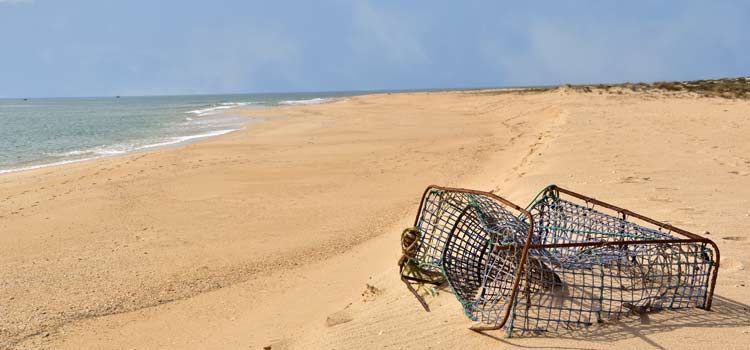 Deserta beach deserted island faro