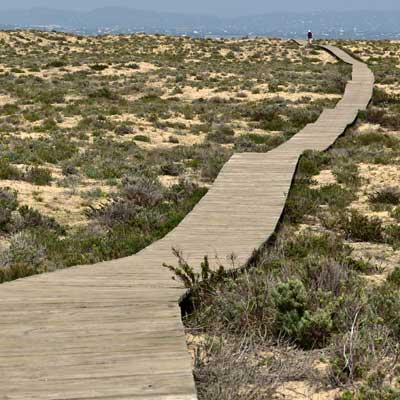 Ilha Deserta passerelle en bois