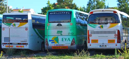 sagres bus