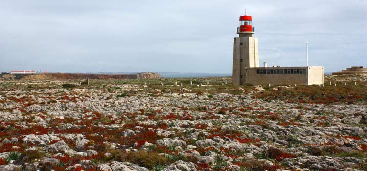 Praia do Tonel beach sagres